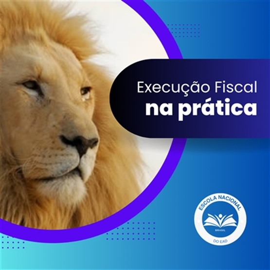 EXECUÇÃO FISCAL NA PRÁTICA